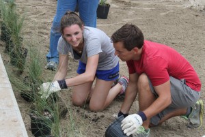 Volunteers begin installing native plants into the rain garden. 