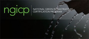 NGICP logo