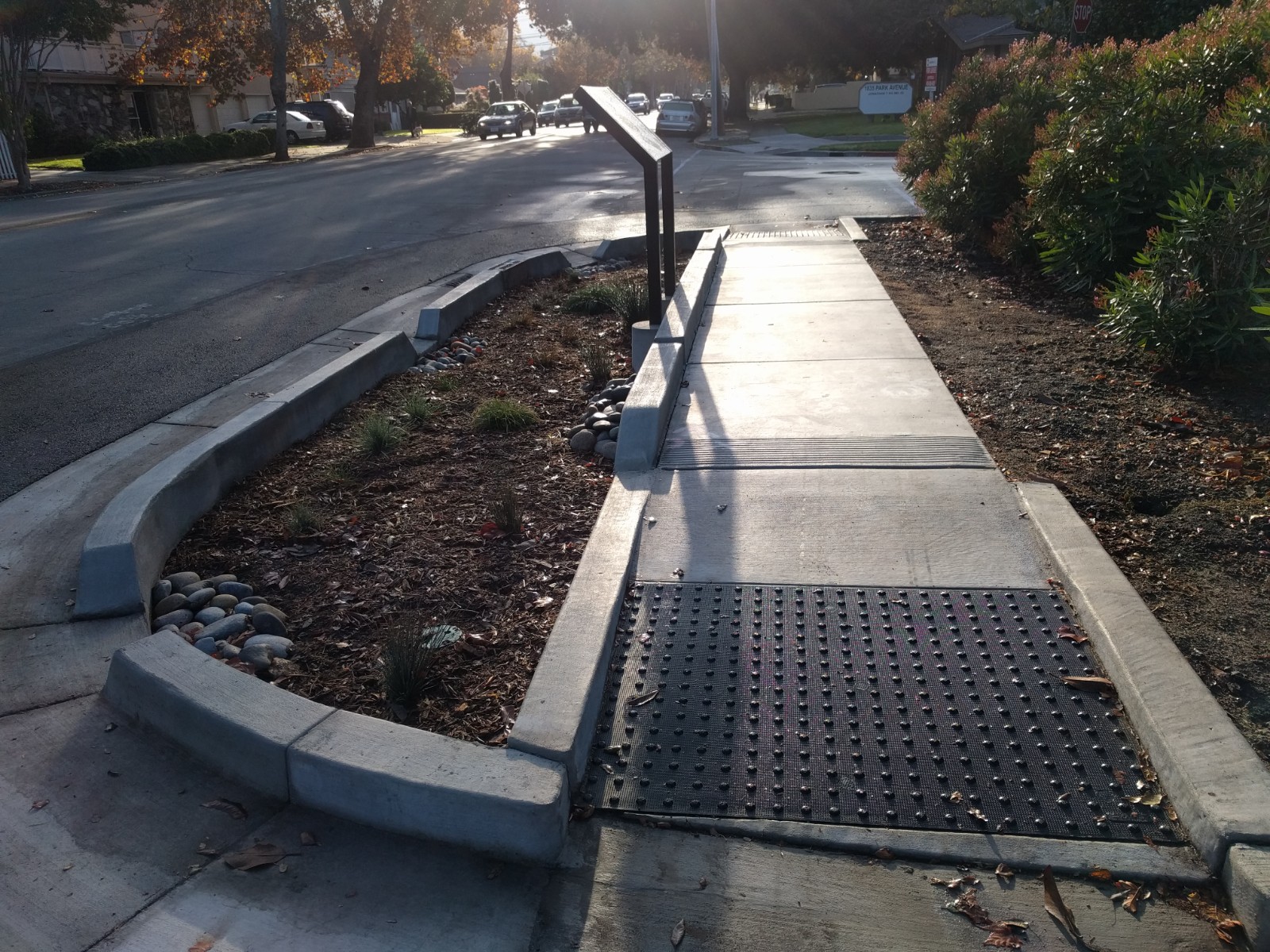 City of San Jose doubles down on stormwater control with ‘green streets’