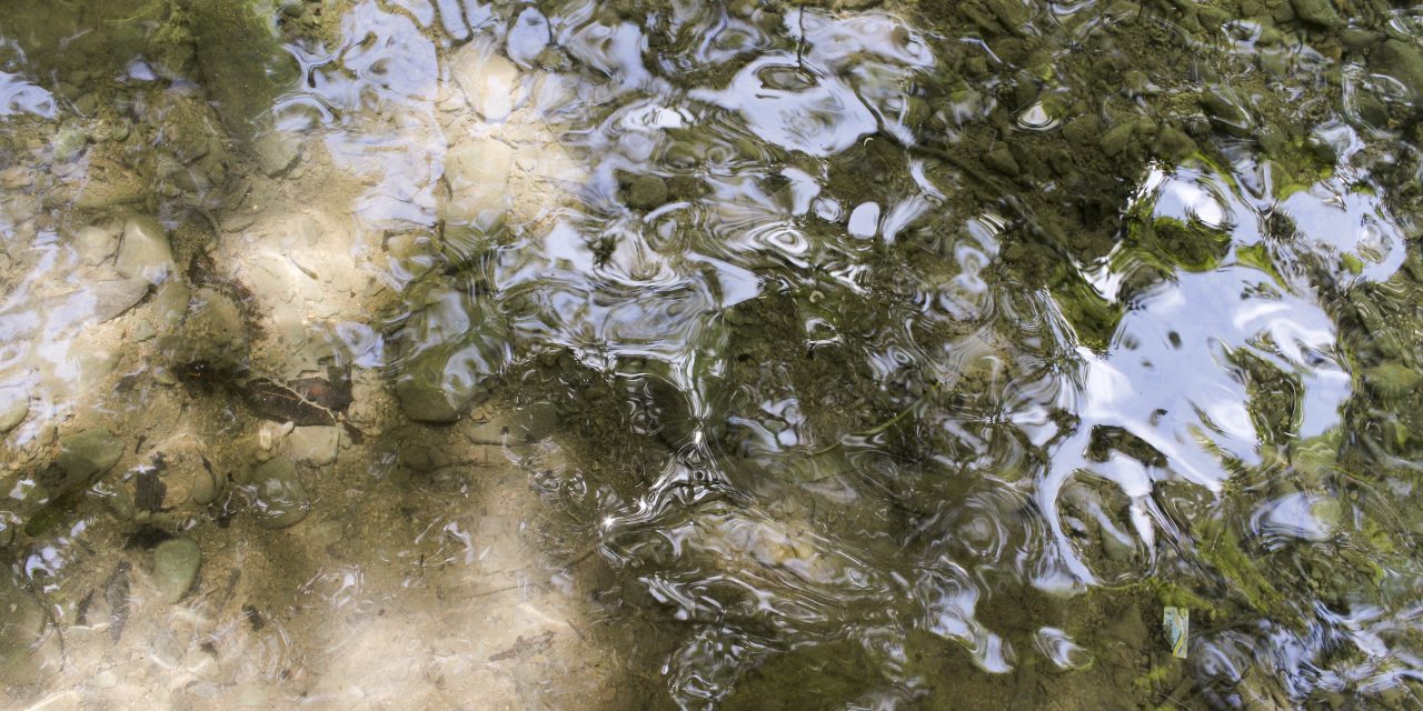 Stormwater Pond Sediments: The Next Frontier for Beneficial Reuse?