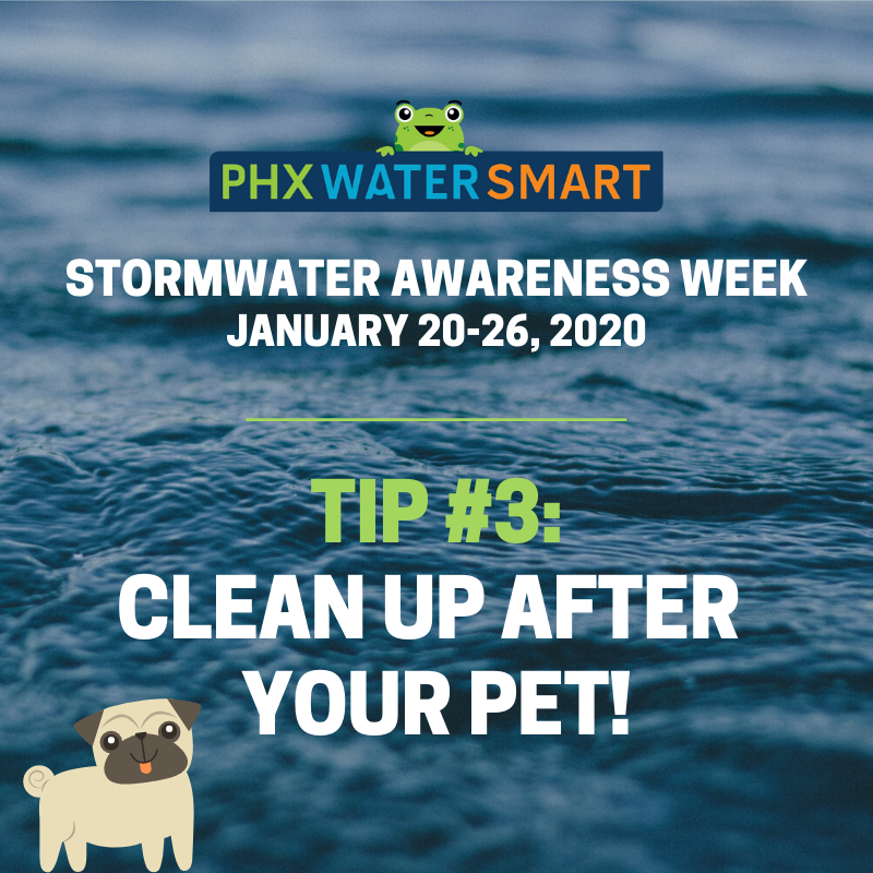 Phoenix, Ariz., Hosts Inaugural Stormwater Awareness Week